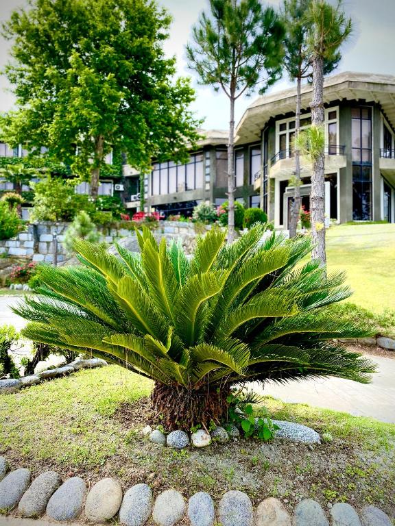 Rock City Resort — Hotel in Mingora