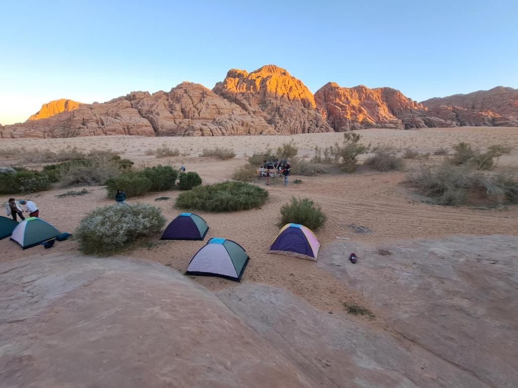 Wadi Rum Green Desert photo
