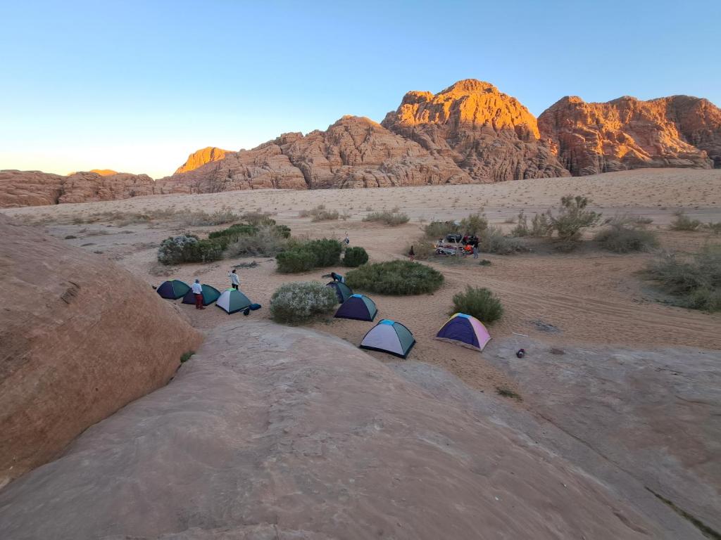 Wadi Rum Green Desert — Hotel in Wadi Rum