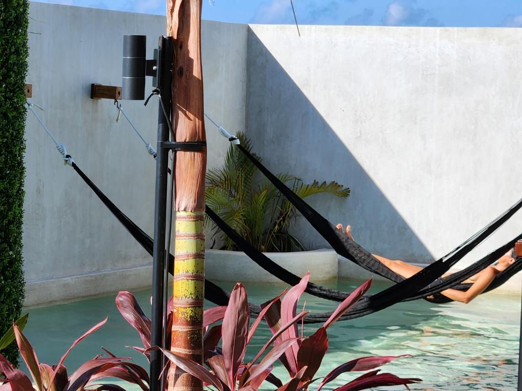 Sofia My Place 1, Playa del Carmen