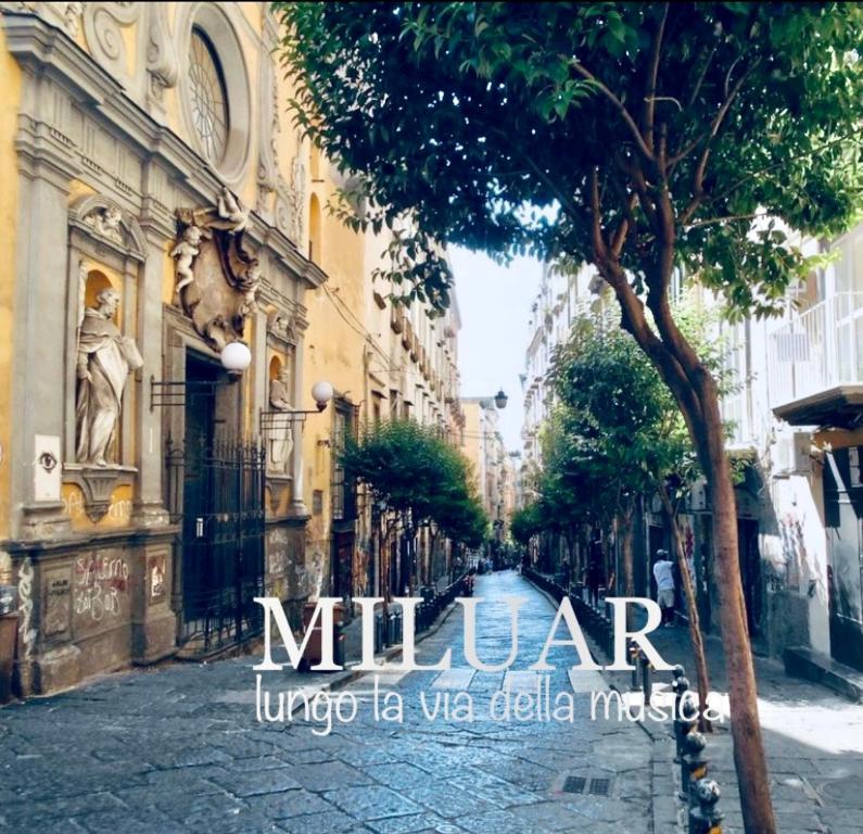 MILUAR - centro storico - lungo la via della Musica, Neapol