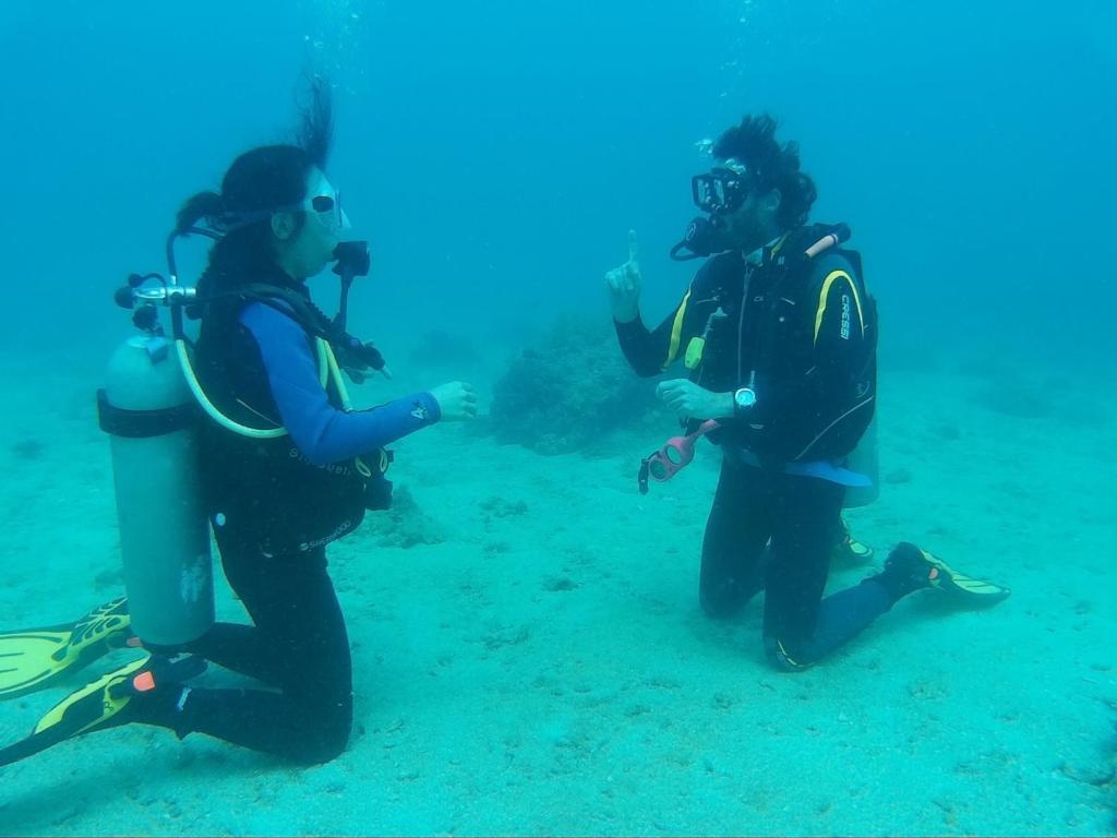 スポーツ/アクティビティ