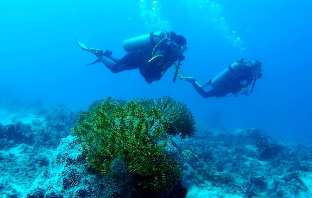 スポーツ/アクティビティ