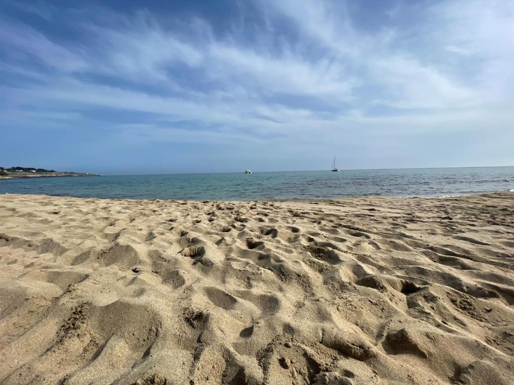 i 3 oliveti, Salignano