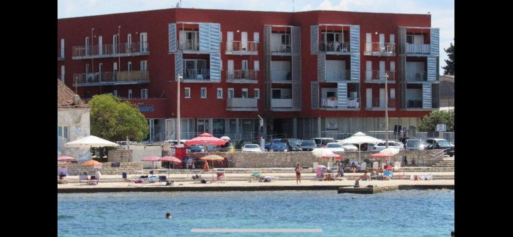 Elegant Studio, Umag