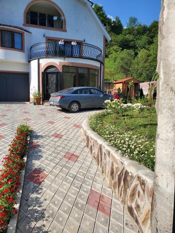 DIOSKURIA BORJOMi, Bordžomi