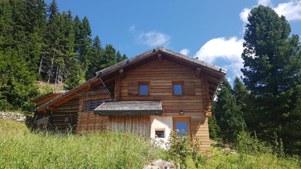 Alpenchalet Waldl - la Lepre - 4