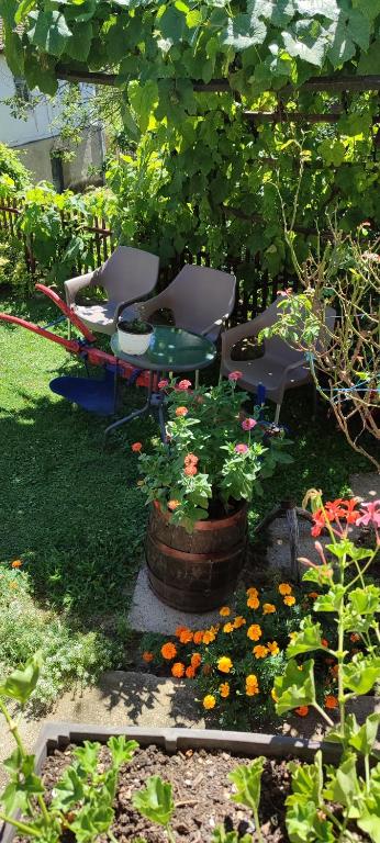 Apartmani Mali Raj Rudnik photo