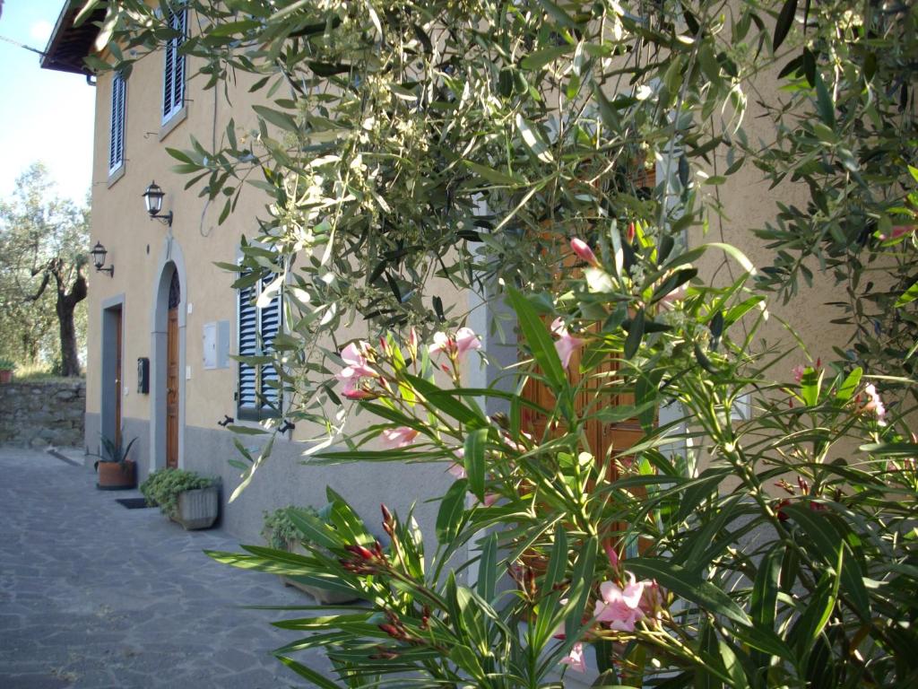 Casa Girella photo