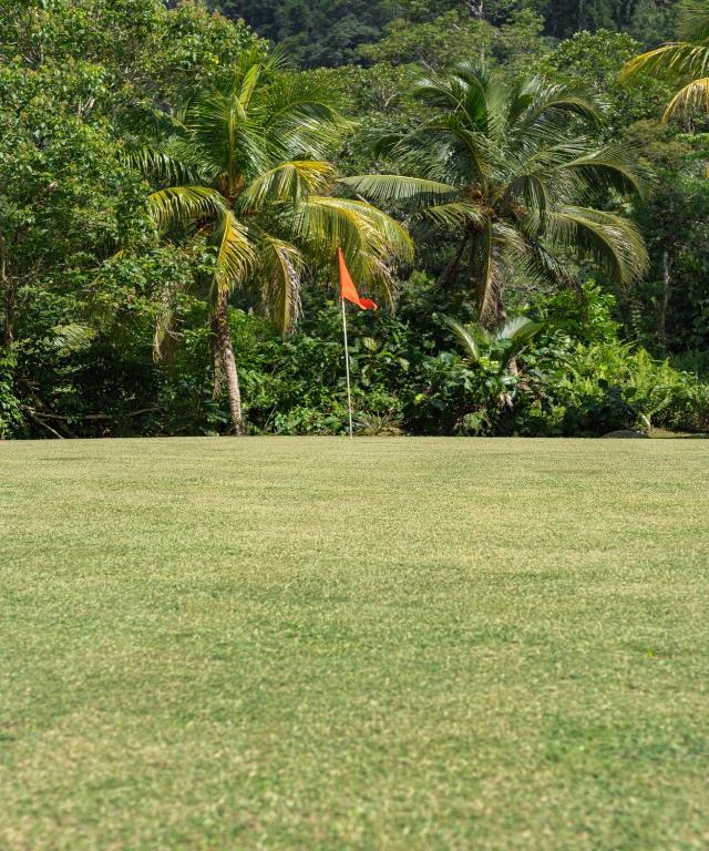 Golf course [on-site]