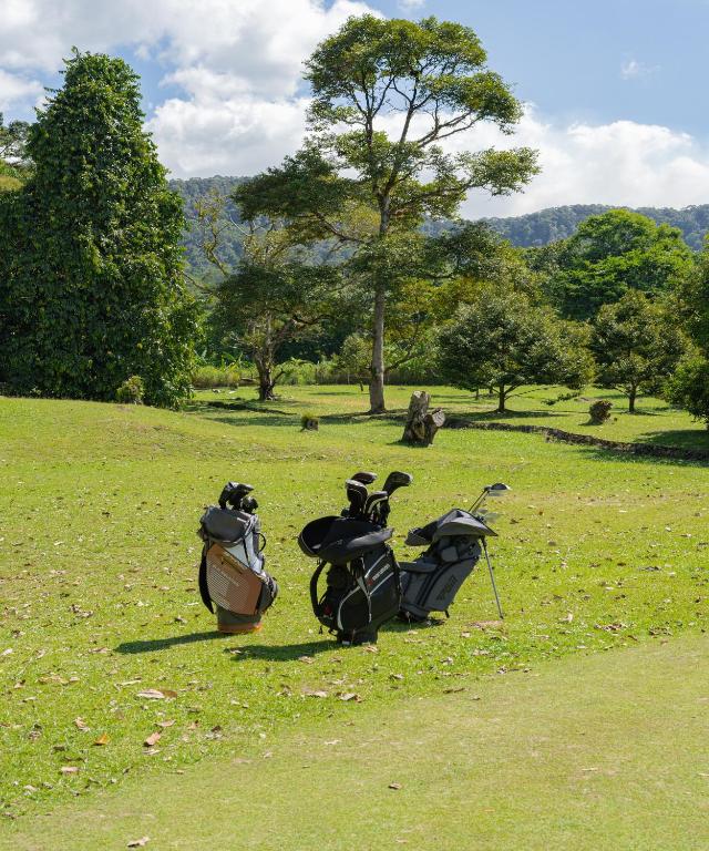 Golf course [on-site]