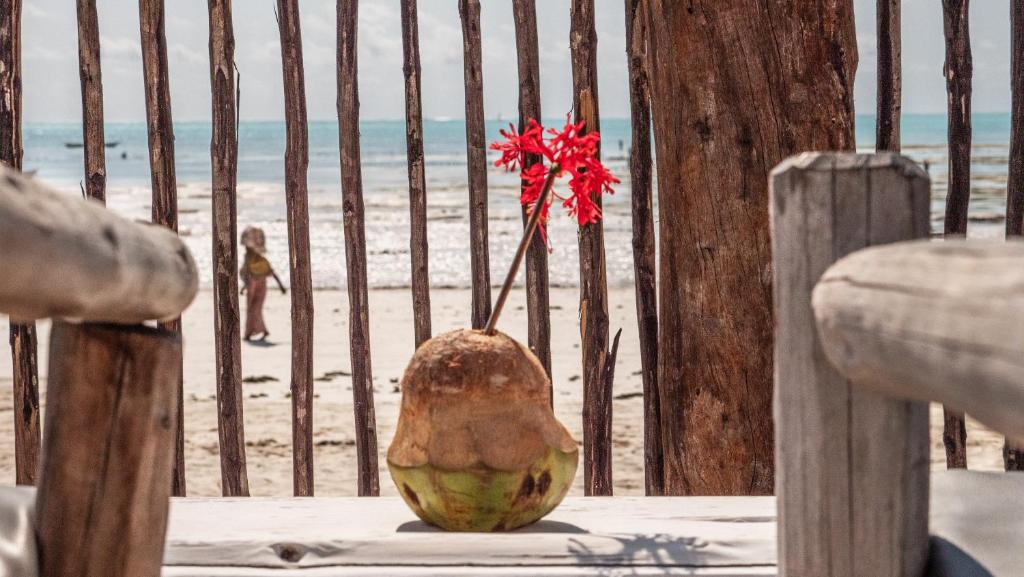 Bahari Beach Bungalows photo