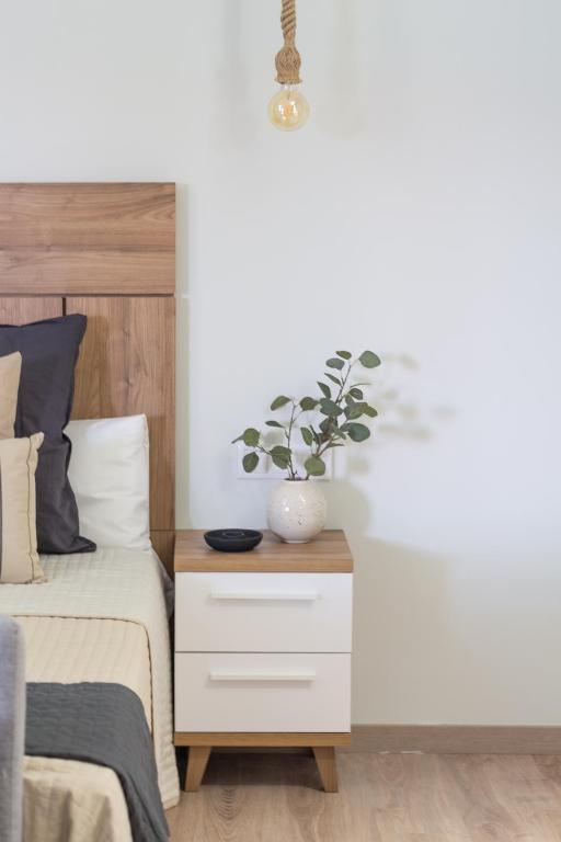 VLC HOST - Reino, Valencie