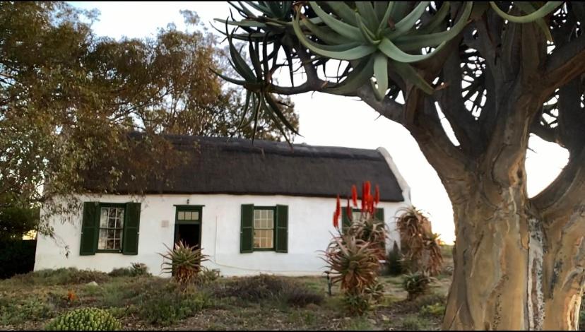 Moreson, Nieuwoudtville