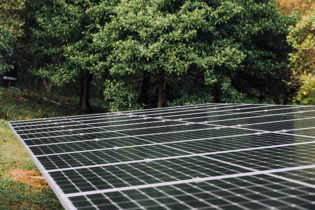 บริการและสิ่งอำนวยความสะดวก