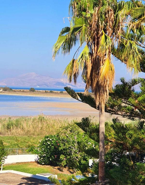 Hotel Tigaki's Star — Beach in Tigaki, South Aegean