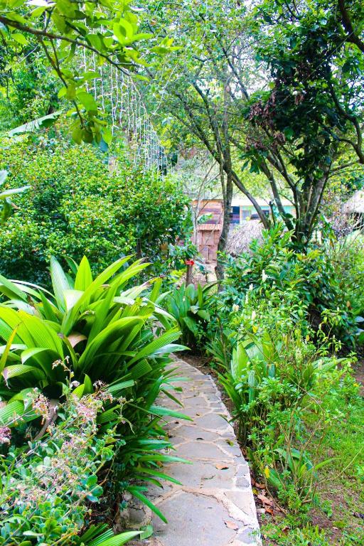 Jardín