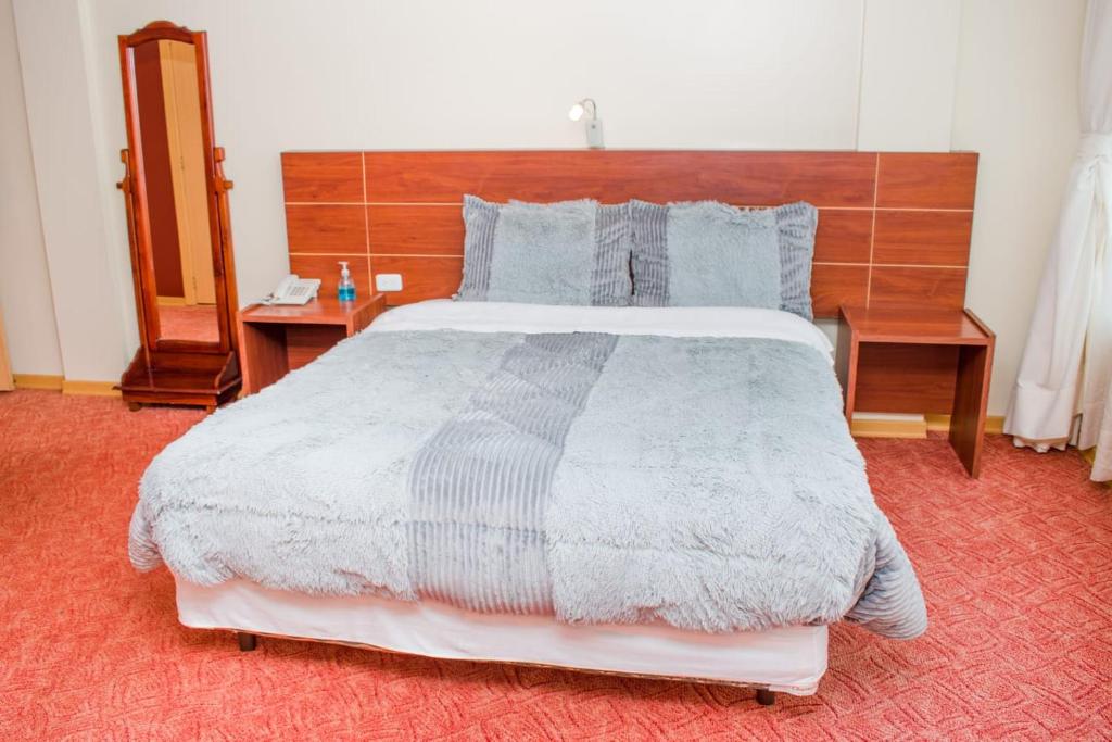 HOTEL FLOR DE LOS ANDES - 5