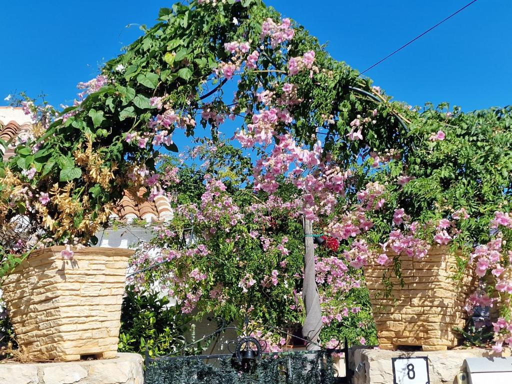 Villa Aurica - 3