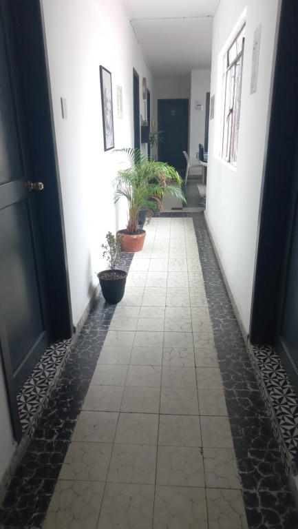 A3 Habitación en Condesa Amsterdam - 3