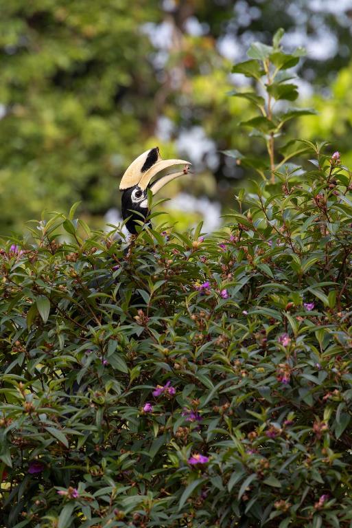 สภาพแวดล้อมโดยรอบ