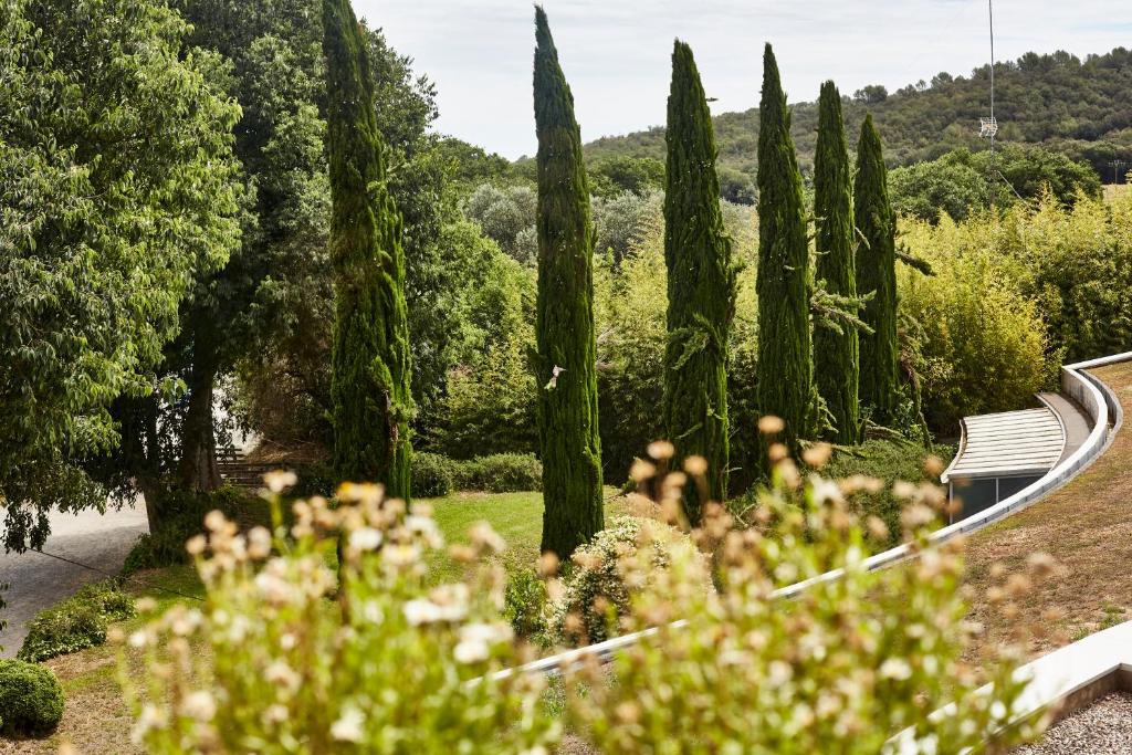 Arcs De Monells - Adults Only — Attractions in the area in Monells, Catalonia