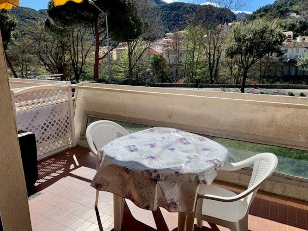 Appartement F2 avec terrasse, parking, ascenseur et WIFI - Animaux acceptés - Amélie-les-Bains - 2