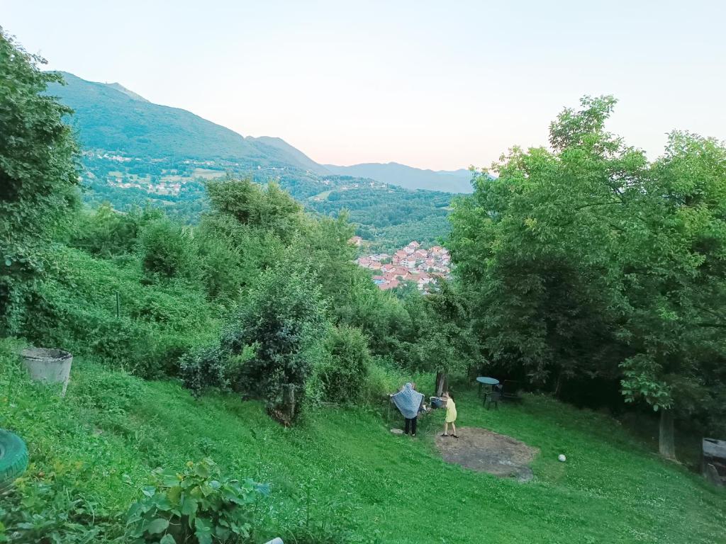 Sunnyhill - 5