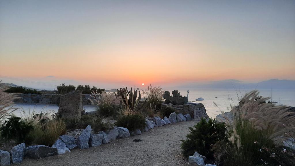 Arion suites Mykonos photo