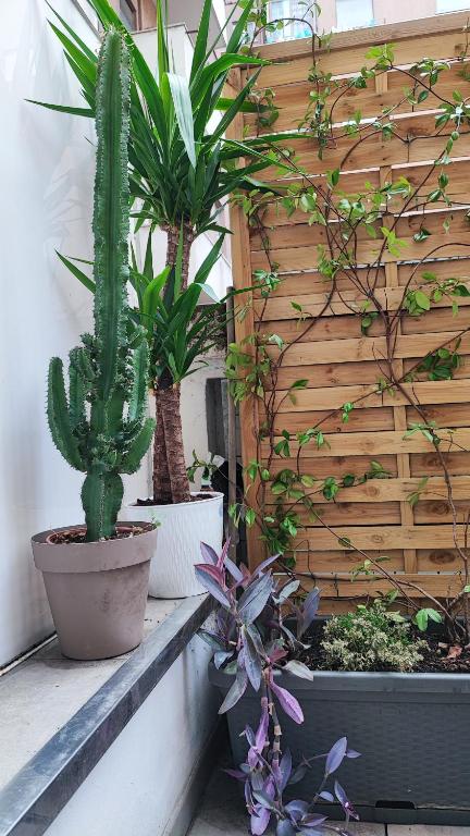 My Little House - 2