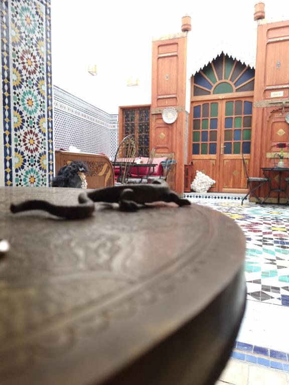 Fes touria palace photo
