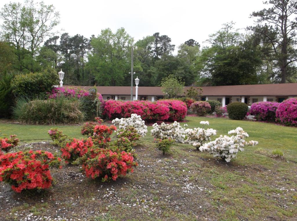 Azalea Inn &amp; Suites — Hotel in Wilmington (NC)