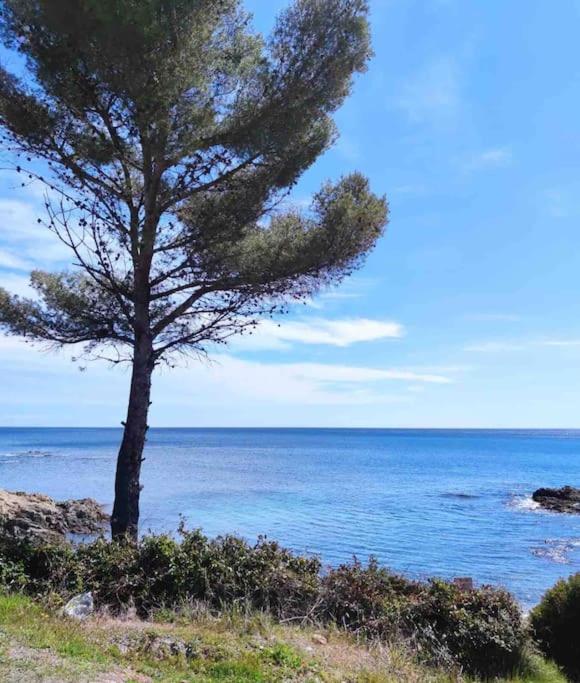 Golfe de St Tropez 3 pièces jardin piscine privée - 5