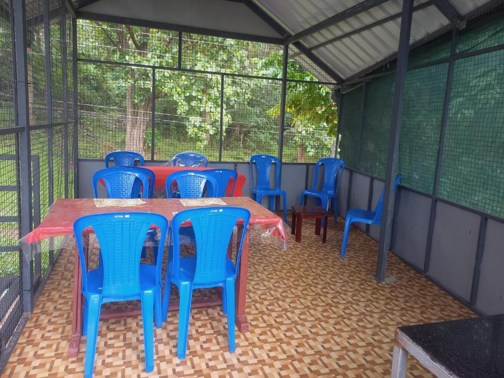 Wild Window - Forest View Homestay photo