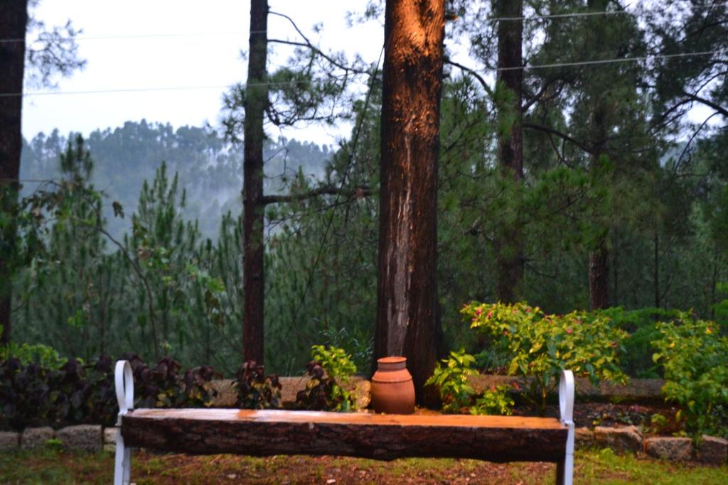 Batrasi Bungalow Homestay photo