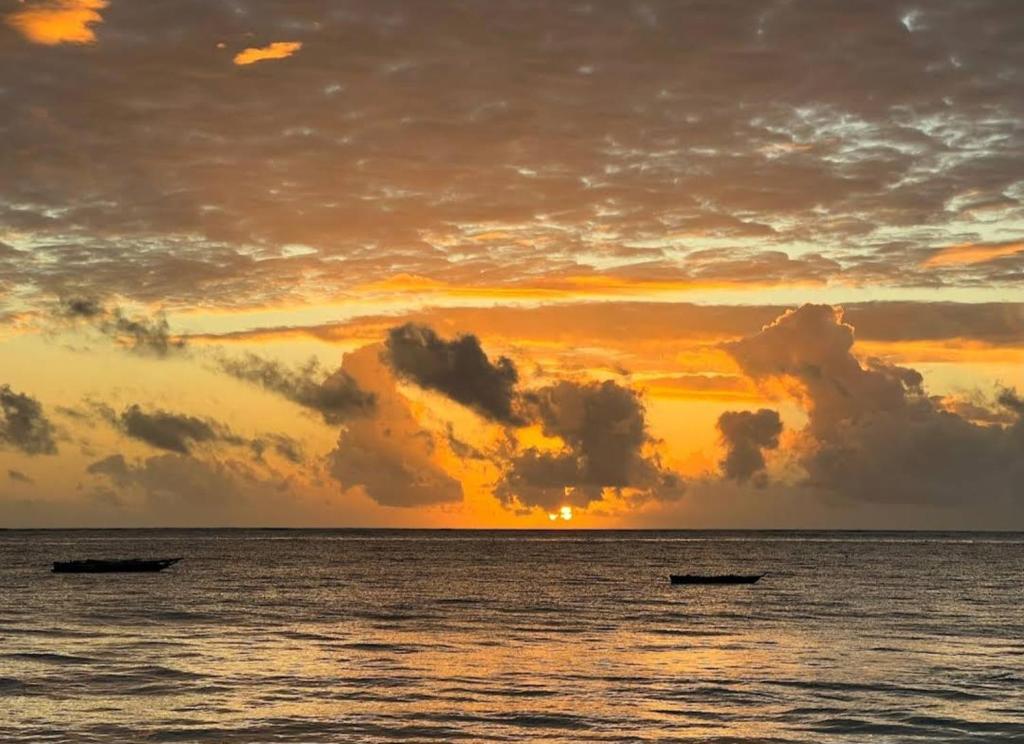 Mambo Mazuri, Zanzibar Kiwengwa photo