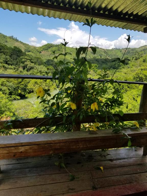 Vistas