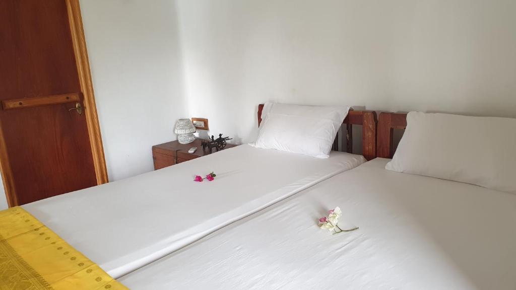 Tranquility Guest House photo