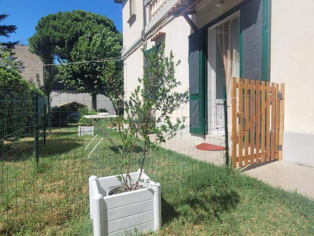 Casa Siria - 3