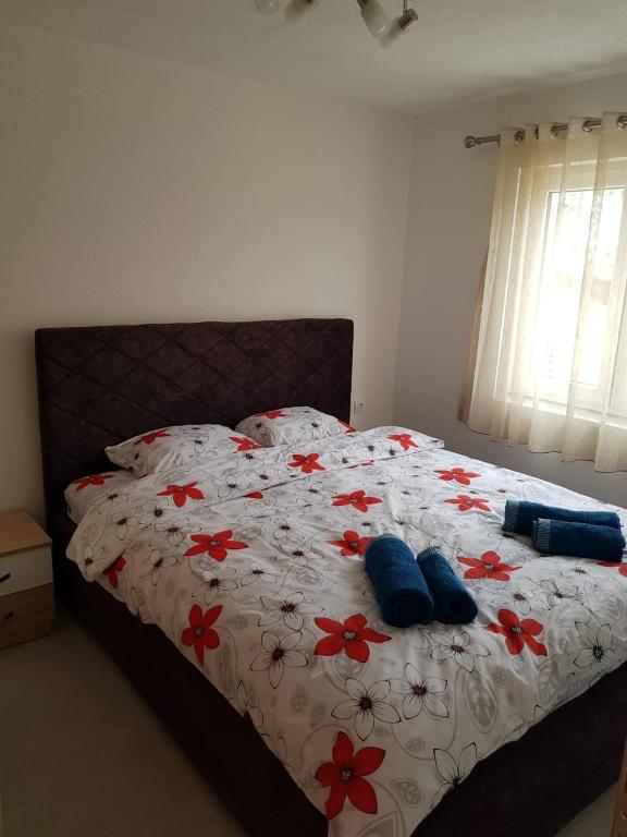 Apartmani Popovic Lux - 3
