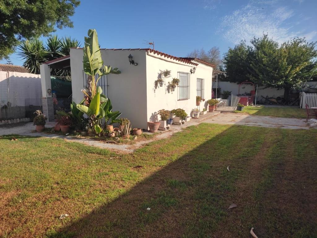 PINZAPO, El Puerto de Santa María