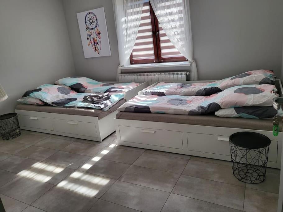 Pokój z kuchnią i łazienką Żyrardów, Żyrardów