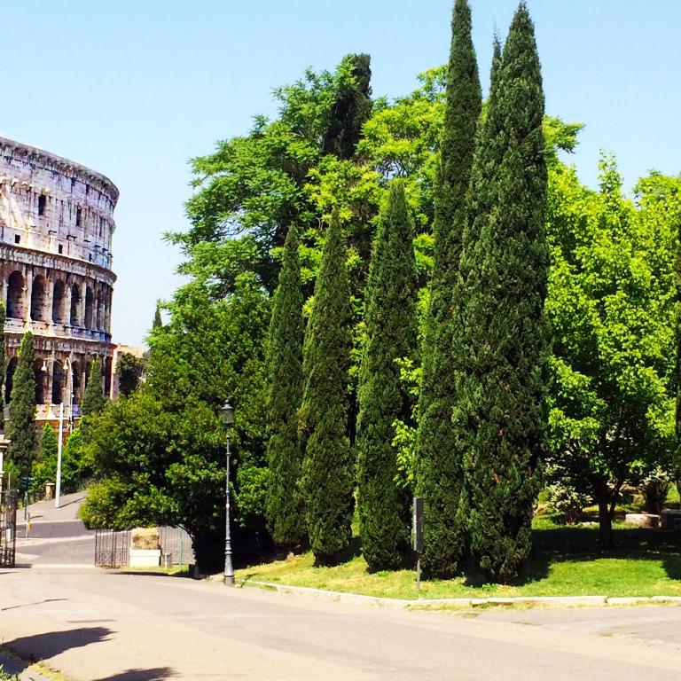 Attrazioni nelle vicinanze