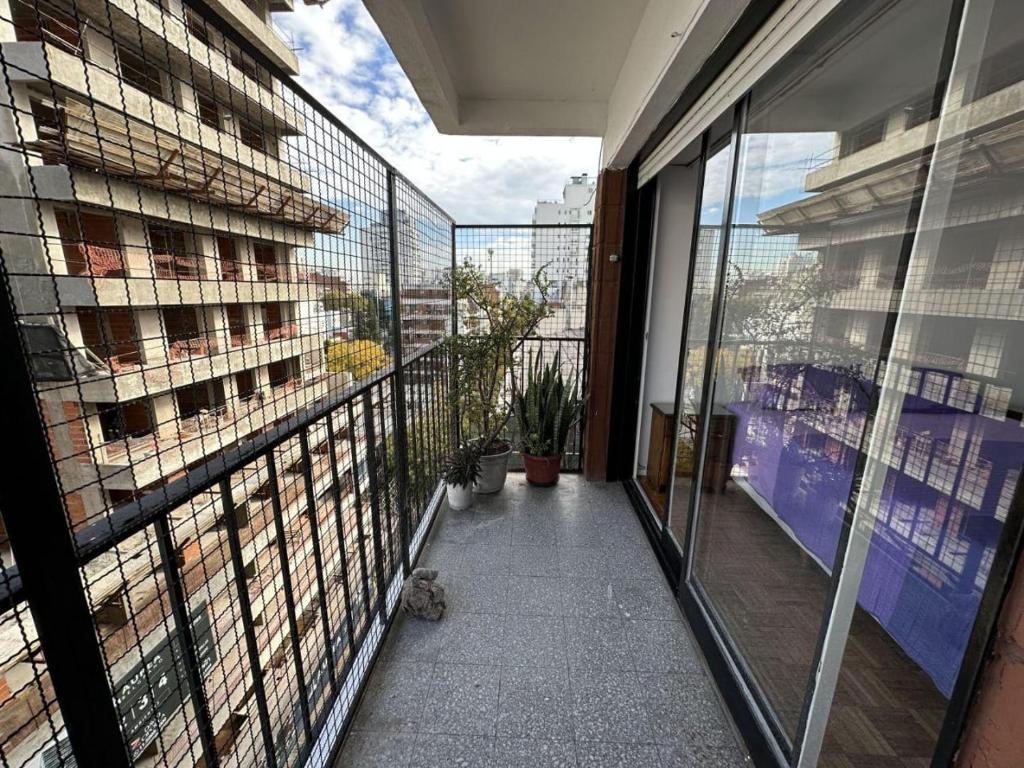 Belgrano Especial Miriam - 3