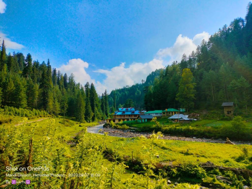 Shivavalley riverside homestay photo