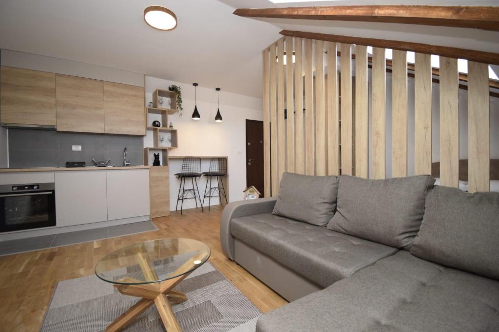 Studio apartment Art Zone II, Podgorica