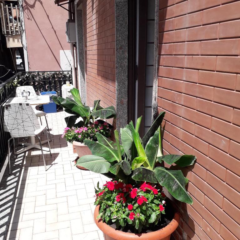 Le Case del Cortile, Katánie