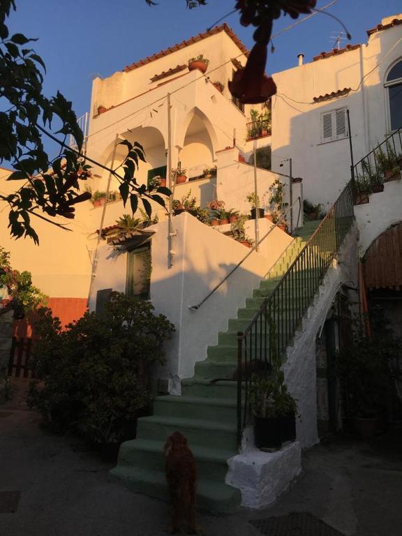 A cas e Rosa, Ischia