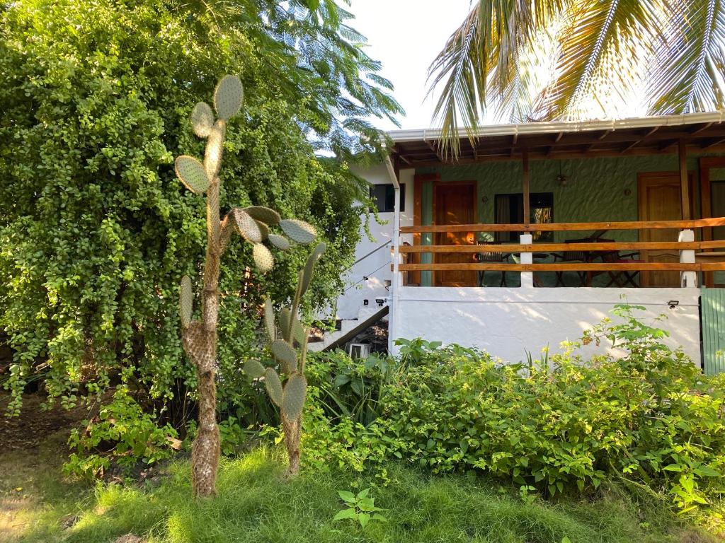 La Peregrina Galapagos B&B photo