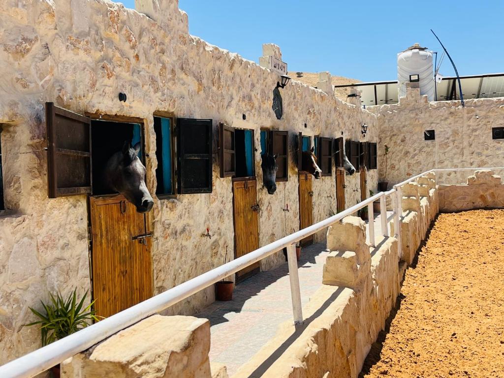 Petra Royal Ranch photo